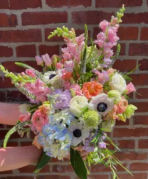 The Anna Premium Spring